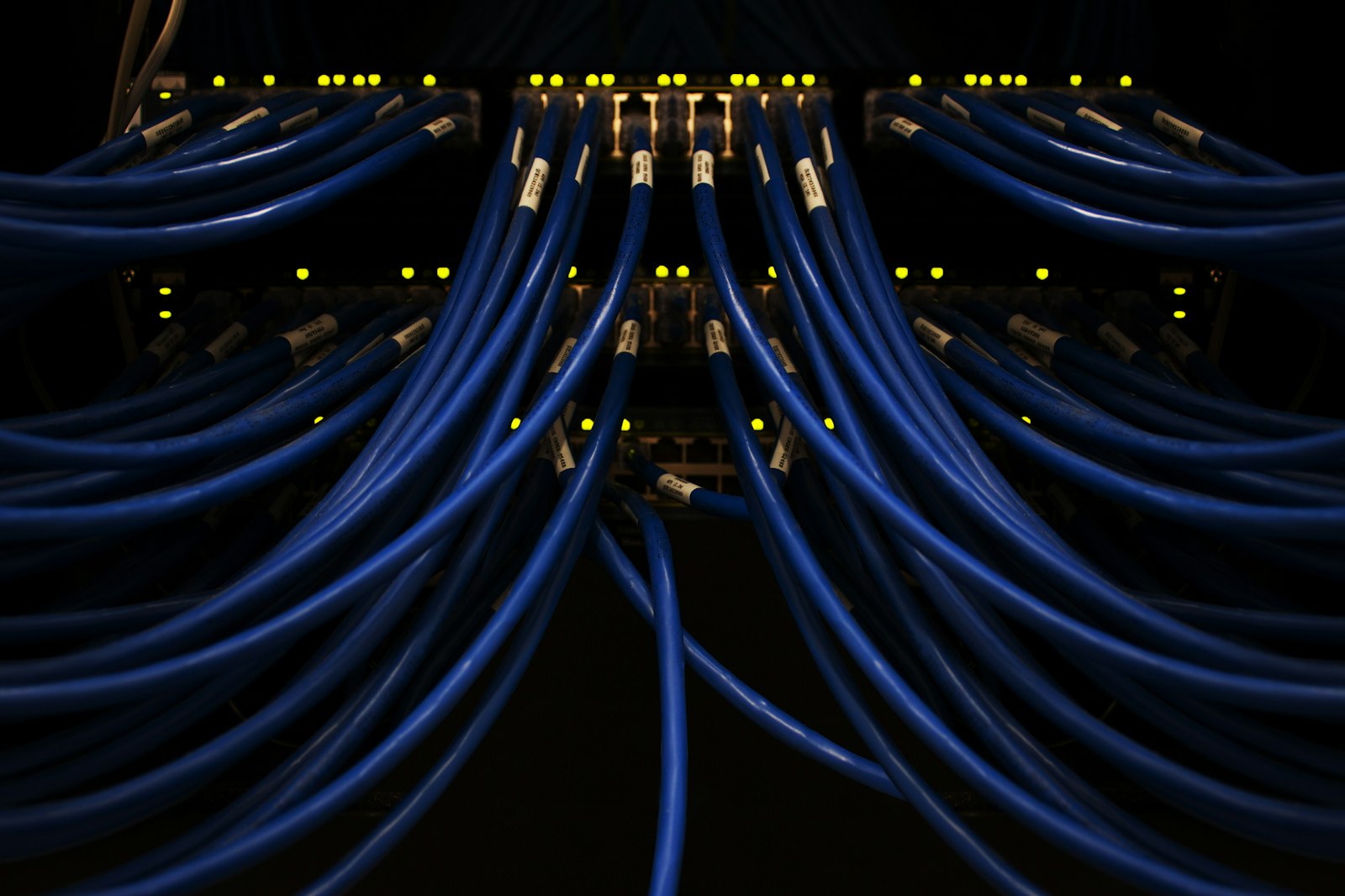 Telecom, Media & Connectivity
